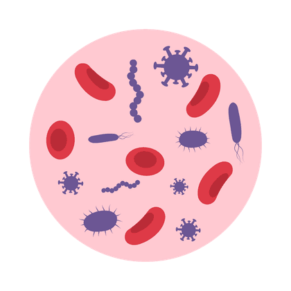 Staphylococcus aureus (hämolytisch)